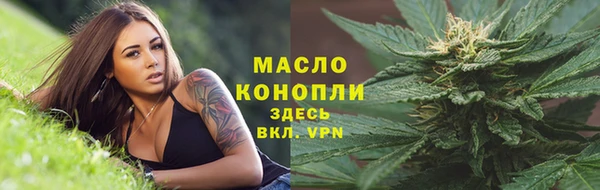 индика Елизово