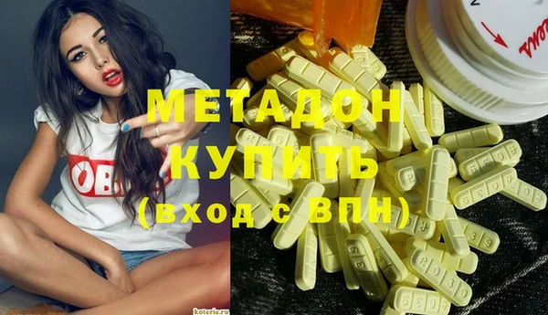 индика Елизово