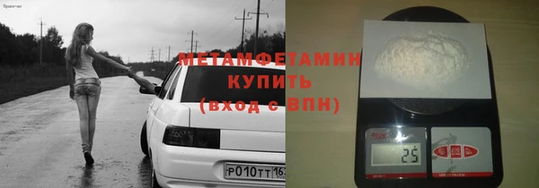 индика Елизово