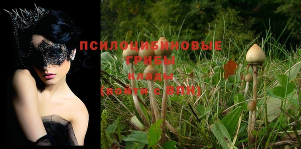 индика Елизово