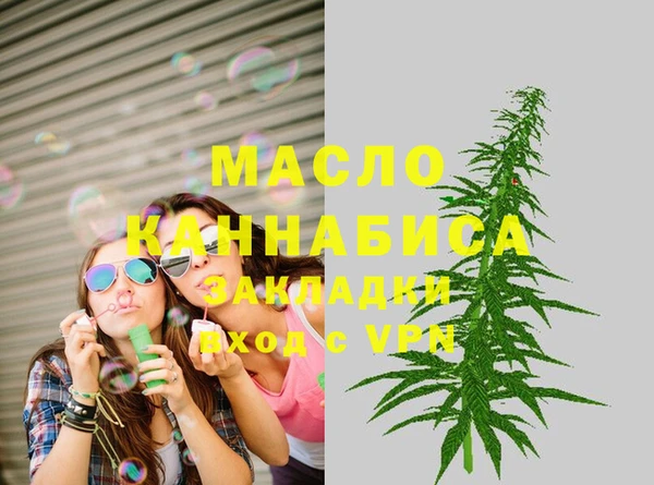 индика Елизово