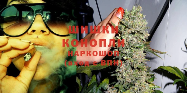 индика Елизово