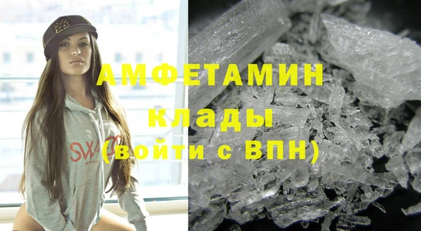 индика Елизово
