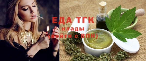 индика Елизово