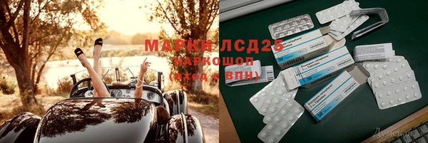индика Елизово