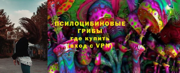 индика Елизово