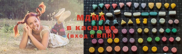 индика Елизово