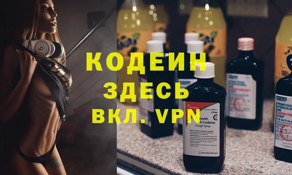 индика Елизово