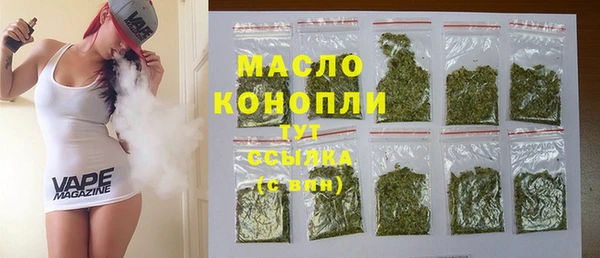индика Елизово