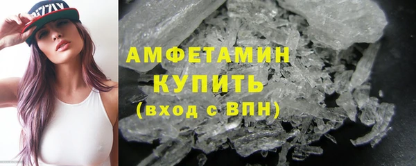 индика Елизово