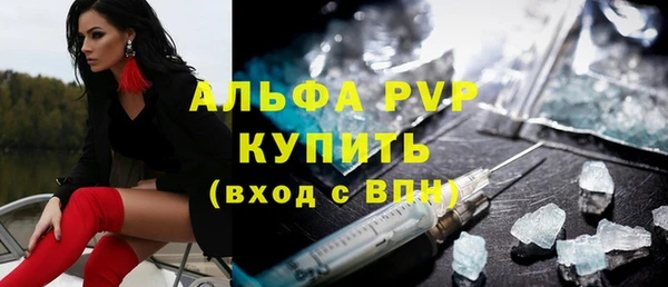 индика Елизово