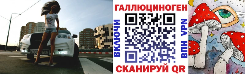 Псилоцибиновые грибы GOLDEN TEACHER  Купить  Санкт-Петербург 