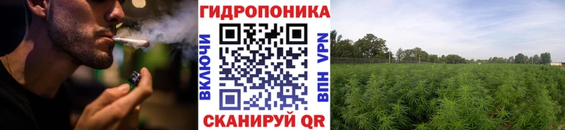 Купить Санкт-Петербург Канабис семена